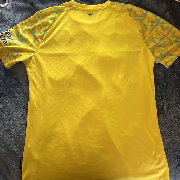 Brentford Goalie Jersey - Picture 2 of 2